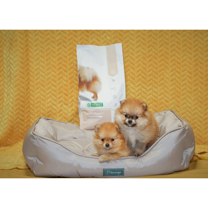dry food for junior small breed dogs with poultry - 4
