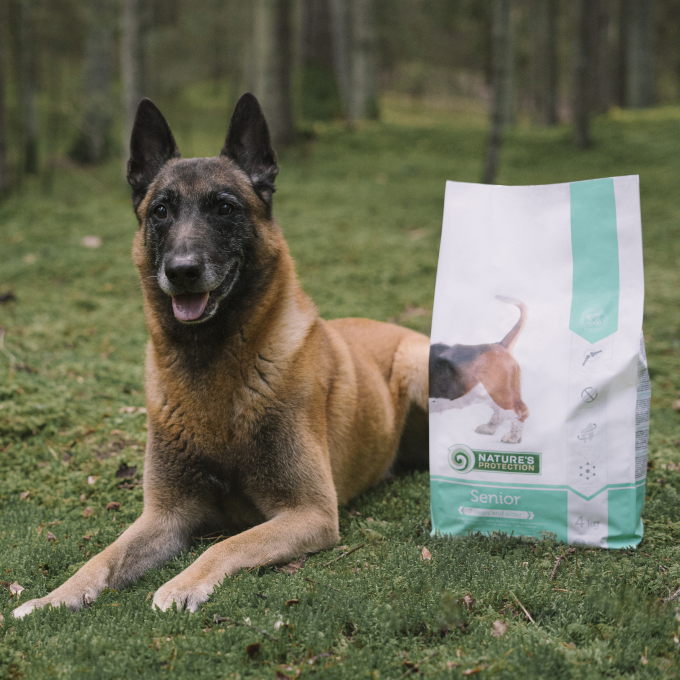 dry food for senior dogs of all breeds with poultry - 4