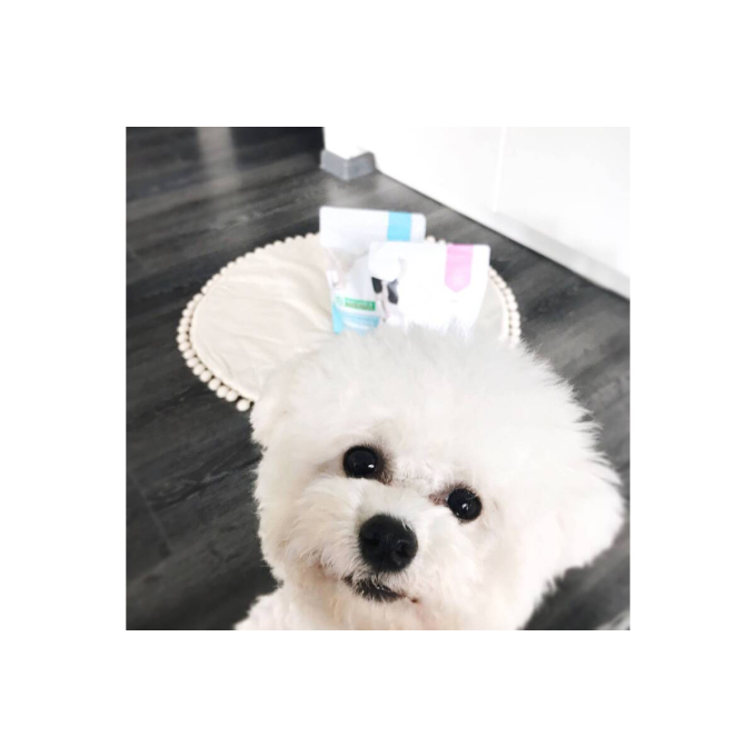 nourriture sèche pour chiens de toutes races junior avec de la volaille - 3