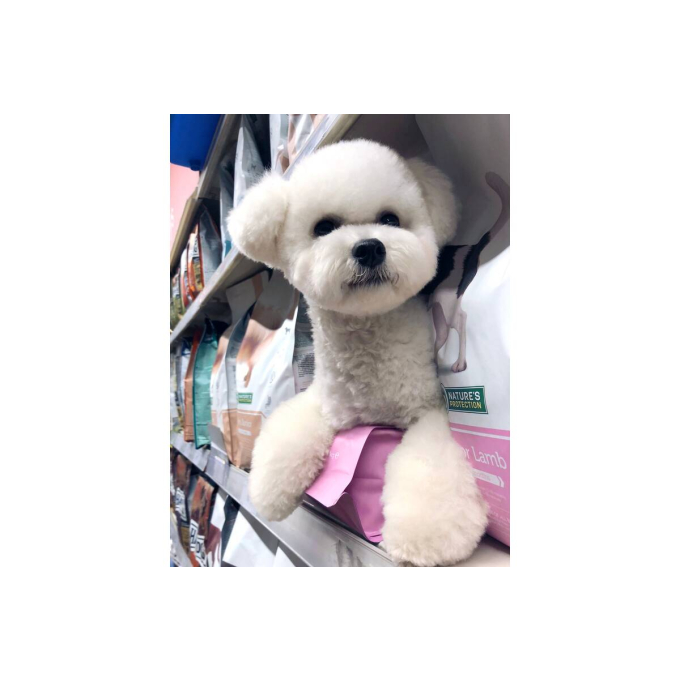 nourriture sèche pour chiens junior de toutes races avec agneau - 3