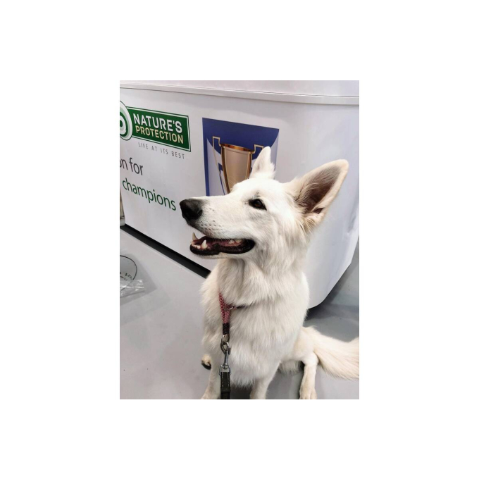 droogvoer voor volwassen honden van grote rassen met gevogelte - 2