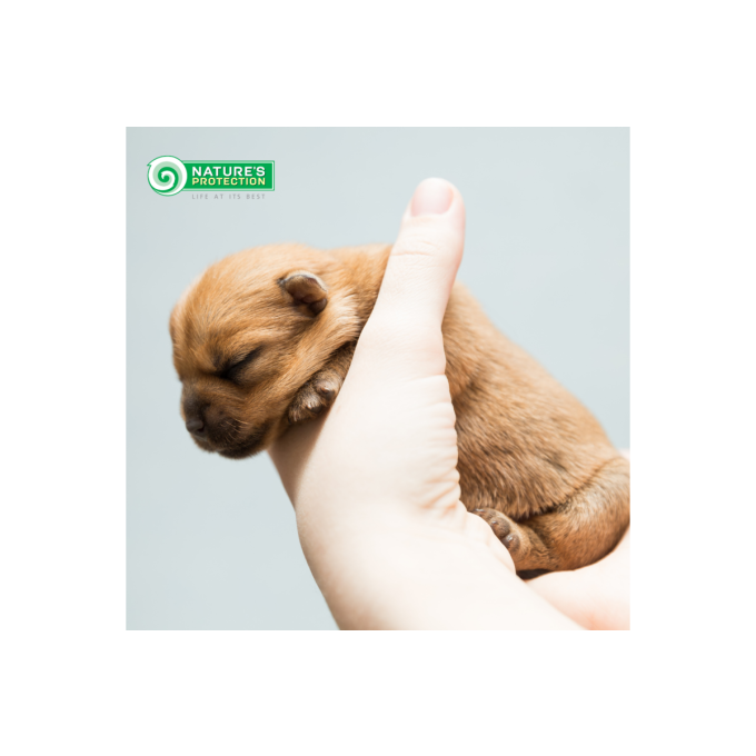 trockenfutter für Welpen aller Rassen mit Lachs und Krill - 7