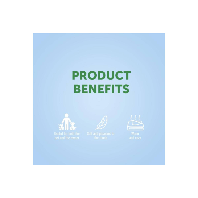 deken, met kittens - 1