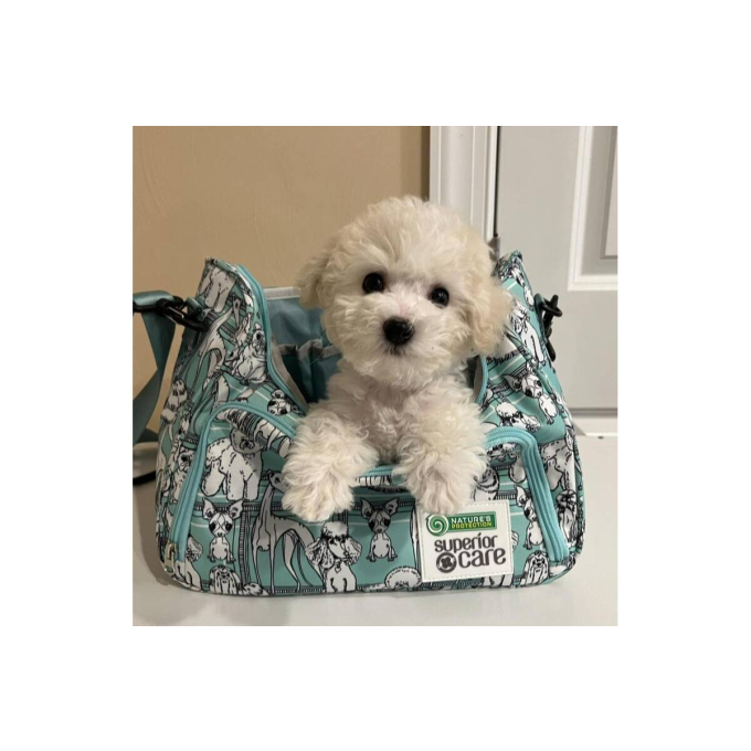 tas voor trimmers - 6