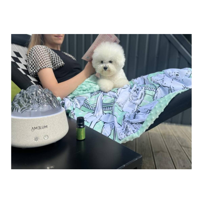 couverture, avec chiots blancs - 4