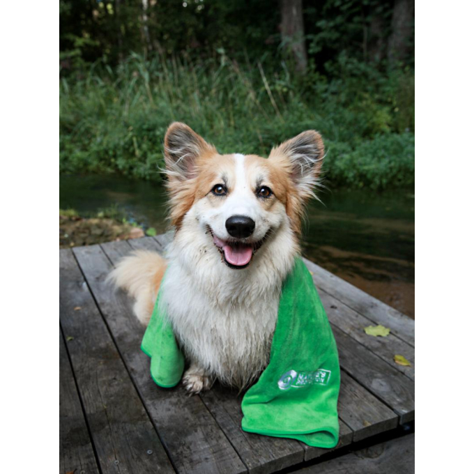 blikvoer voor volwassen honden met kip en kalkoen - 2