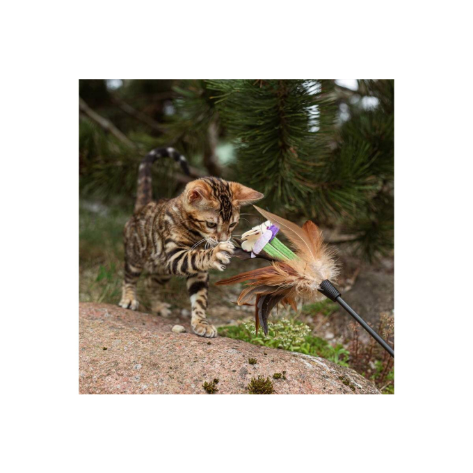 aanvullend diervoeder - soep voor volwassen langharige katten met gevogelte - 2
