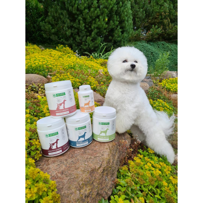 complementary feed for senior dogs and cats for teeth, joints &amp; bones - 3