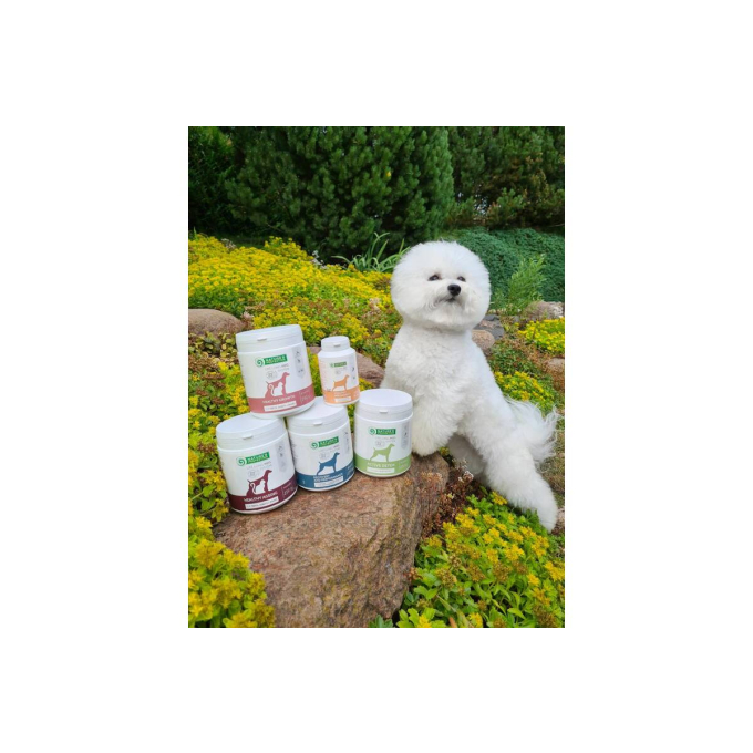 pienso complementario para perros y gatos senior para dientes, articulaciones y huesos - 3