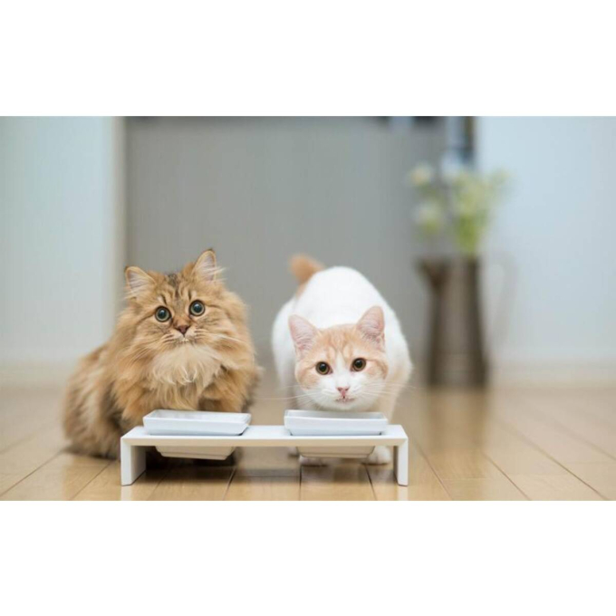 aanvullend diervoeder voor opgroeiende honden en katten voor tanden, gewrichten en botten - 1