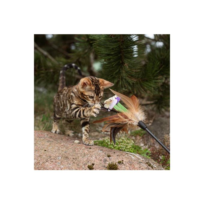 melkvervanger voor kittens voor botontwikkeling &amp;amp; gezonde groei - 2