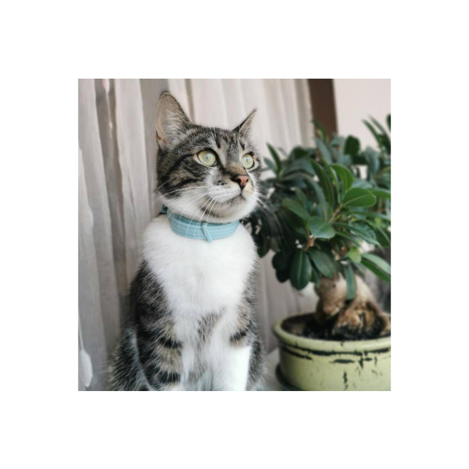 Moutpasta, pasta voor katten die het ontharen bevordert, - 2