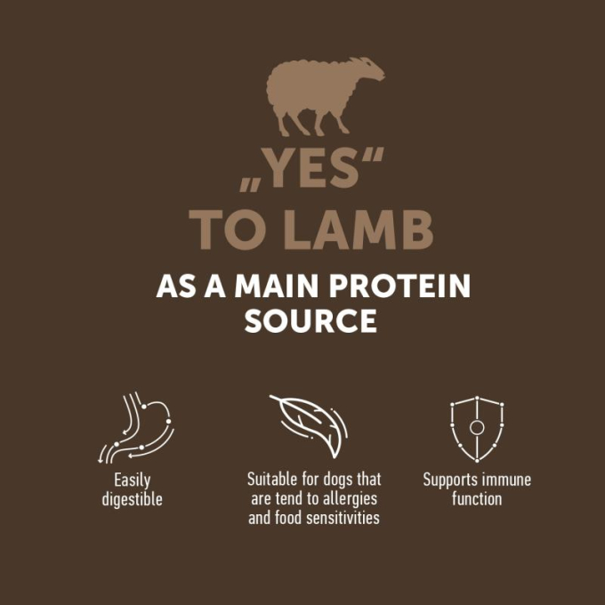 dry grain free food for adult dogs of all breeds with lamb - 2
