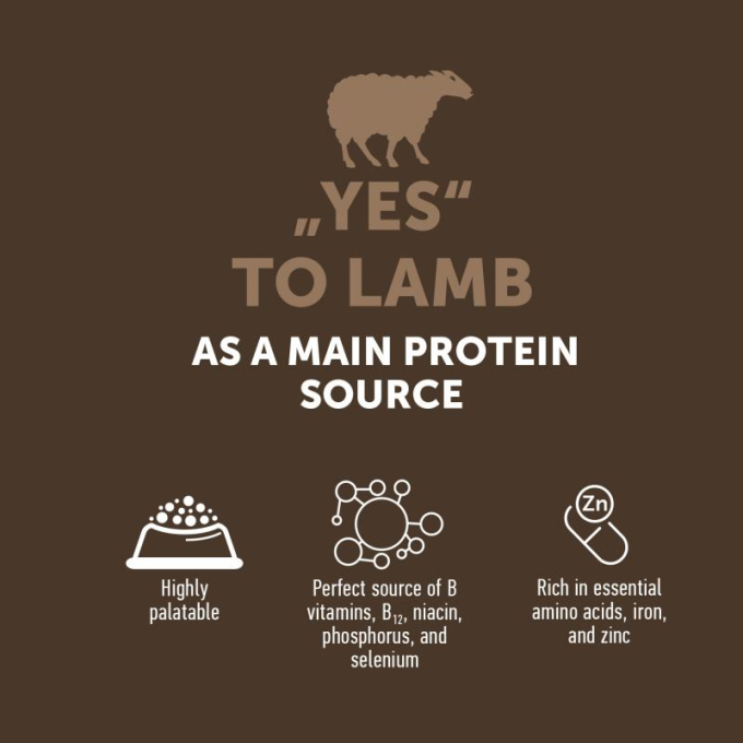 dry grain free food for adult dogs of all breeds with lamb - 3