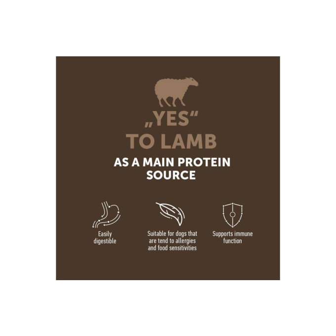 aliment sec sans céréales pour chiens adultes de toutes races - 2