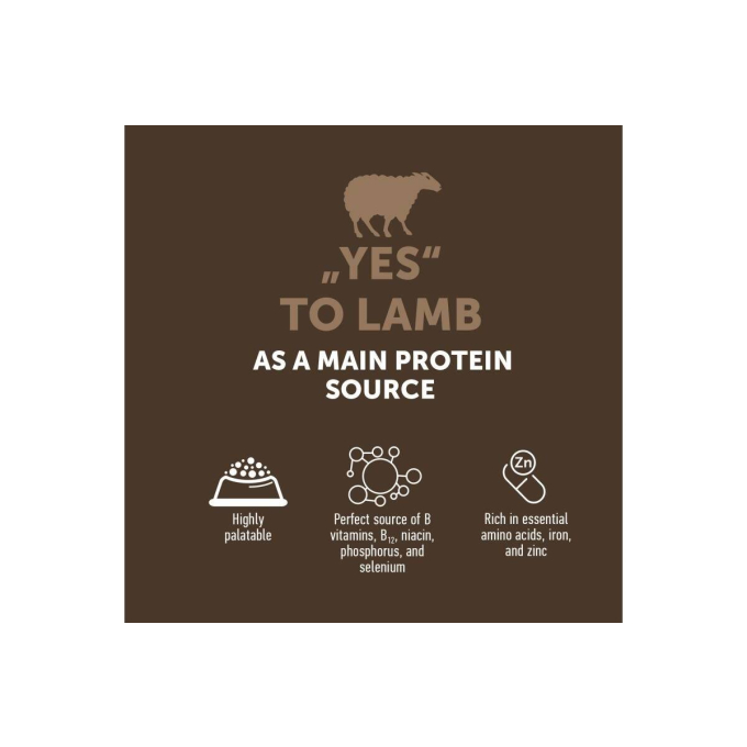 aliment sec sans céréales pour chiens adultes de toutes races - 3