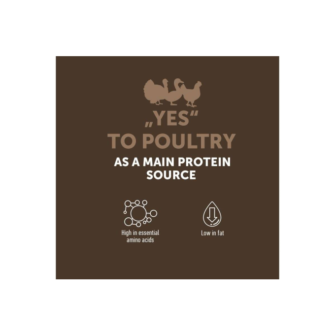 getreidefreies Trockenfutter für ausgewachsene Hunde aller Rassen mit Geflügel - 5