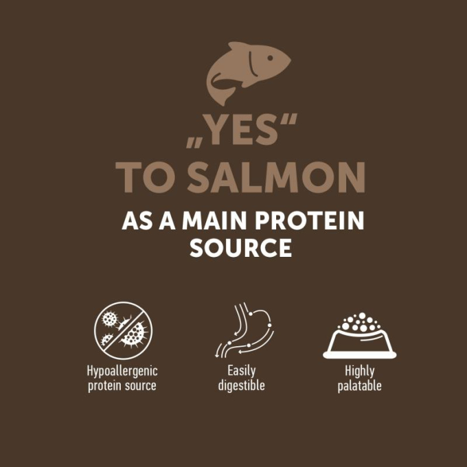 dry grain free food for adult dogs of all breeds with salmon - 3