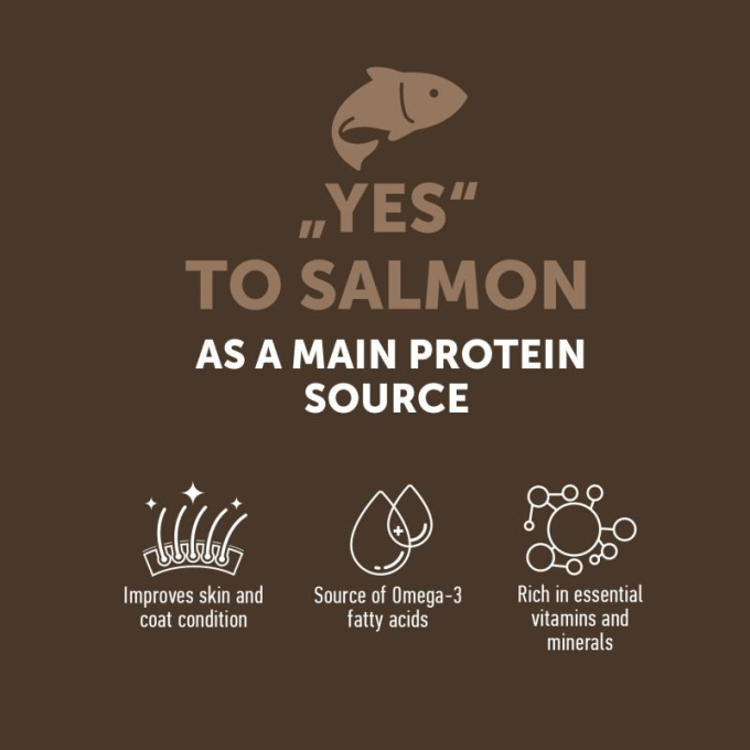 dry grain free food for adult dogs of all breeds with salmon - 4