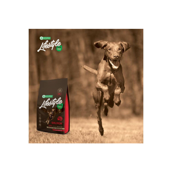 droogvoer zonder granen voor volwassen honden van alle rassen met zalm - 7