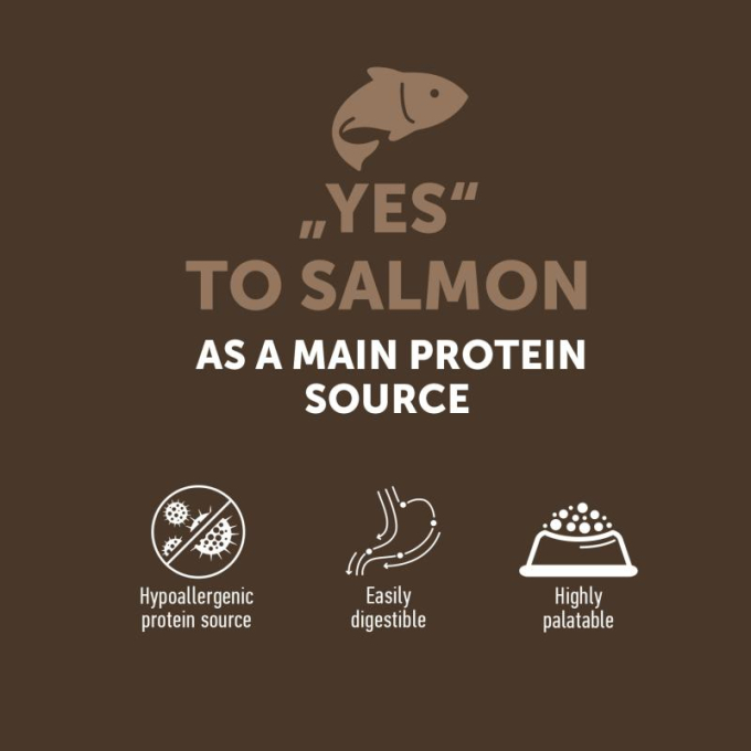 dry grain free food for kittens with salmon - 2