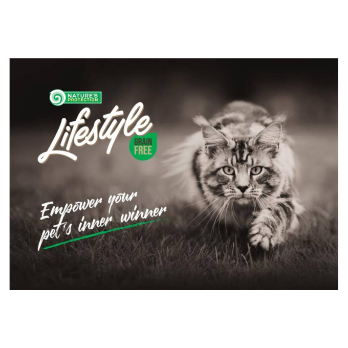 droogvoer zonder granen voor kittens met zalm - 7