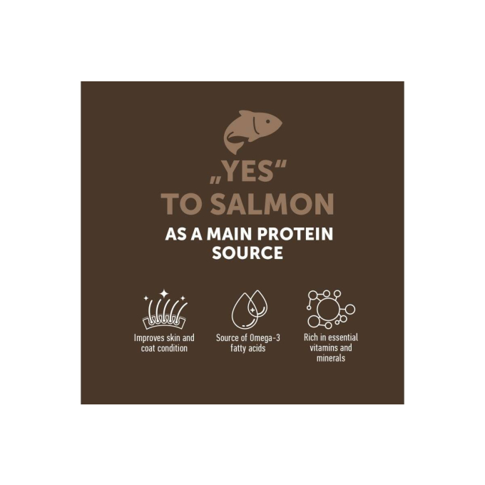 dry grain free food for kittens with salmon - 2