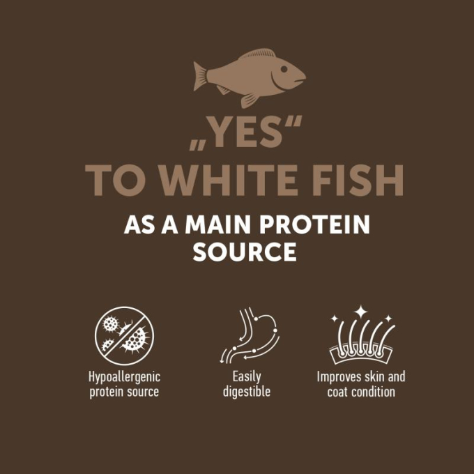 dry grain free food for adult dogs of all breeds with white fish - 2