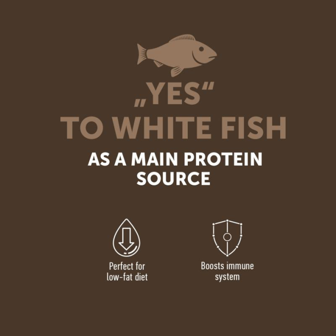 dry grain free food for adult cats with white fish - 3