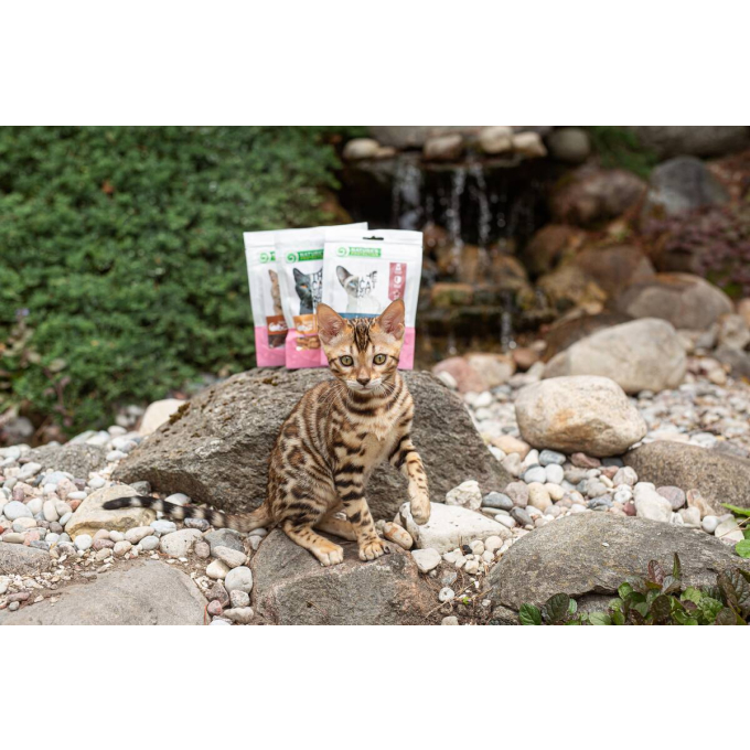 snack voor katten met konijn en gojibessen - 1