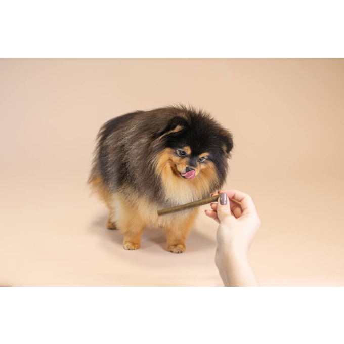 aanvullend graanvrij voer - snacks voor jonge honden met zalm - 3