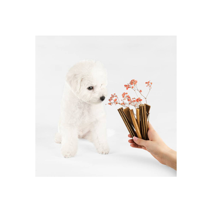 aliment complémentaire sans céréales - snacks pour chiens juniors avec saumon - 3