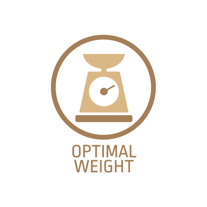 snack für Hunde Lammfleischsticks - 3