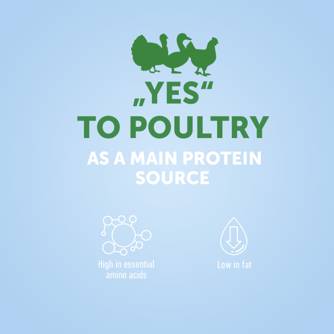 complementary feed – snacks for adult dogs of all breeds with poultry - 3