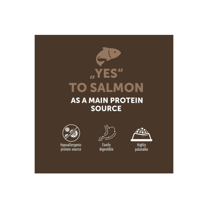 aanvullend graanvrij voer - snacks voor volwassen honden met zalm - 1