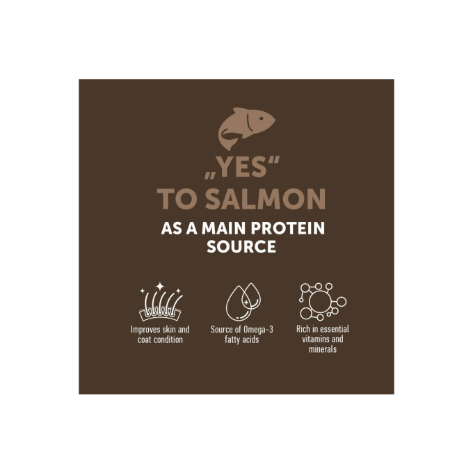 aanvullend graanvrij voer - snacks voor volwassen honden met zalm - 2