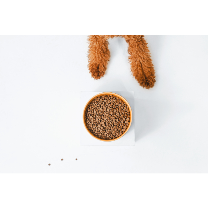 Sample Red Coat Grain Free Salmon Adult Small Breed dry food for dogs - 3