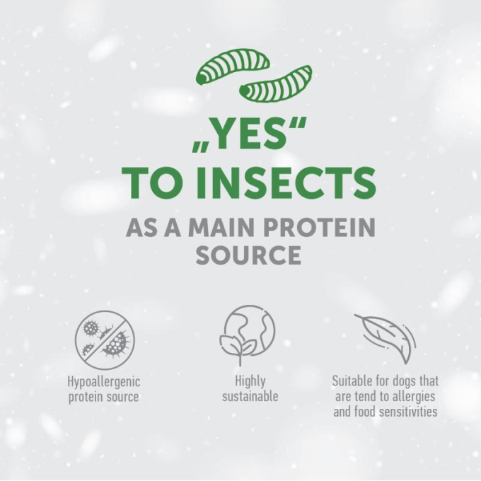 complementary feed - snacks to support endurance with insects and rice for adult all breed dogs with white coat - 2