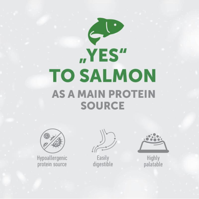 complementary grain free feed - snacks for sensitive care with salmon for junior all breed dogs with white coat - 4