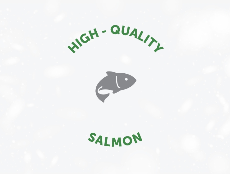 Salmon as a protein source