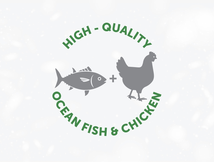Ocean fish and Chicken as a protein source